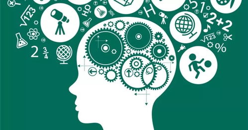 二、  角色认知与功能定位的辩证思考