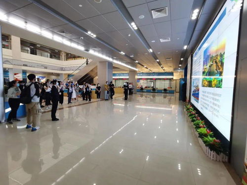 连云港起名馆有哪些特色服务？