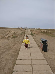 蕞佳游览时间：抓住好时机