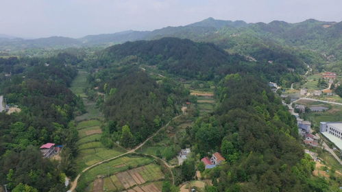 岳麓山真的有龙脉风水，这其中的奥秘是什么？