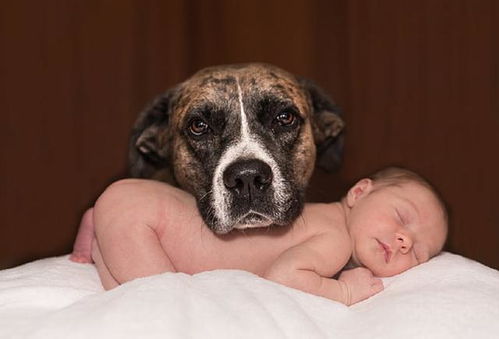 周易起名《2022年正月初八出生的男孩怎么起名 虎年简单男宝宝名字合集》