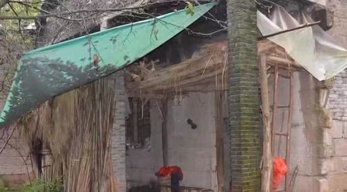 扬州宋桥附近哪里有口碑好的算命先生？