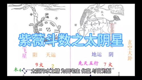 三、 太阴星——勤劳致富与理性投资倾向