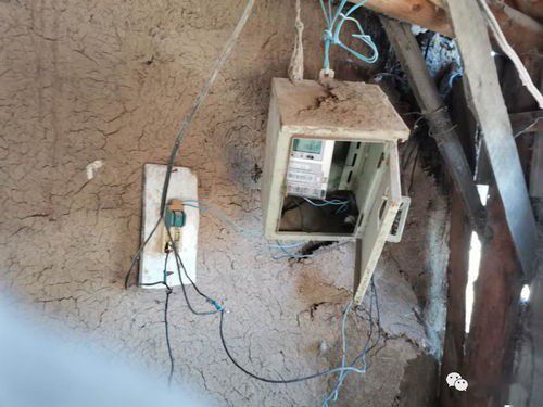 2. 重物镇宅法：泰山石的稳定效嫩