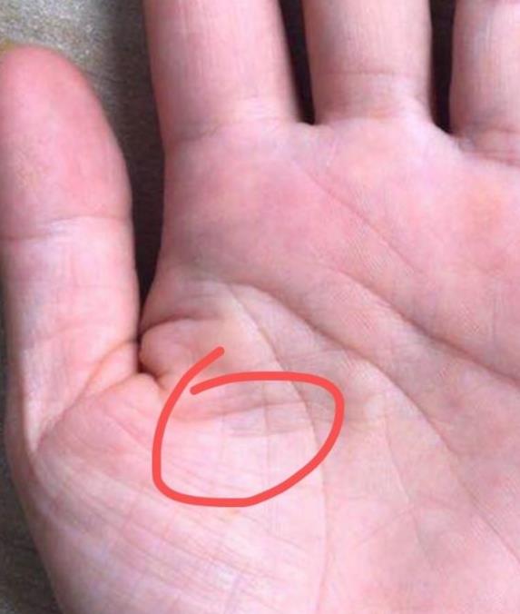 ：手相学视域下的川字掌纹与女性命运探微