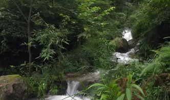 不如去山里的小溪沟沟里踩踩水？