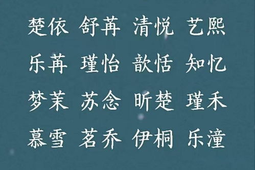 搭配“赫锡特”姓氏后的效果评估