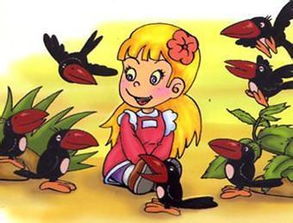 ：惯与乌鸦入宅现象的多维审视