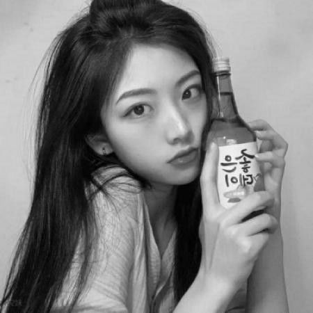 2.1 生肖元素的运用：性格特质与吉祥寓意