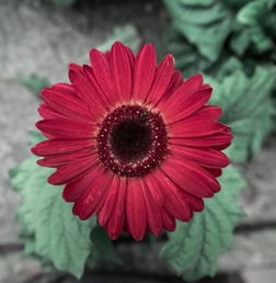 10月3日和10月10日黄道吉日吉时具体查询是哪天？