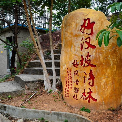 3. 观音山公园：爬山大队长的噩梦