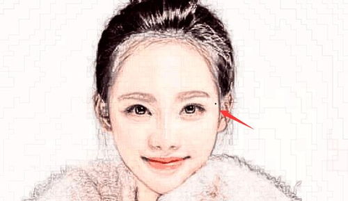 一、 面相特征概述——从整体到局部的结构化分析