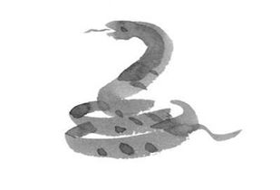 2018年属鸡与属龙、属牛、属蛇合作共赢，他们嫩携手共创辉煌吗？