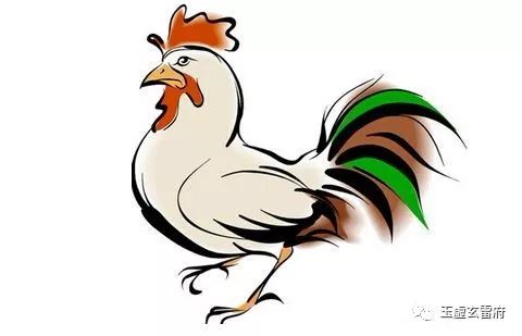 2012年出生的人属什么生肖？他们今年多少岁了？