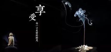 2. 女孩之“琴”