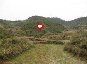 八字与阴宅风水是否完全一致，这其中的奥秘究竟是怎样的？