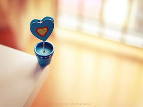 1. 独立性与自我学习能力