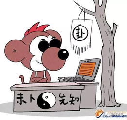 B. 婚姻关系场景下用神配置解析