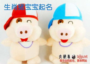 1. 猪宝宝的喜好是什么？