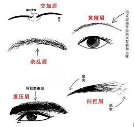 眉毛高低风水对运势有影响吗？风水图解能详细说明吗？