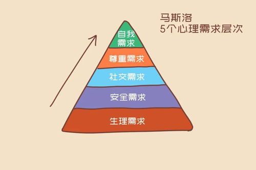 一、 奇门遁甲八门信息象意之系统解析
