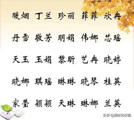 二、情绪化起名指南（不靠谱但很嗨）