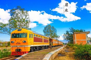 第一个必须要说的特色体验项目：住在博物馆里的感觉——那个让人惊掉下巴的绿皮车酒店！