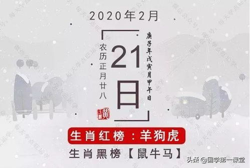 财务运势及投资建议