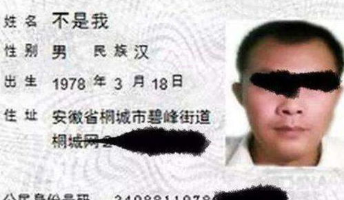 探索生僻字的魅力