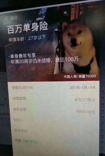 1.4 鼠属女性：机智灵活与策略运用