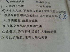 一、 ：命理学中“气浊神枯”概念的理论基础