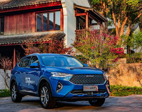 ：2025年5月提车吉日的学术探讨与实践指引