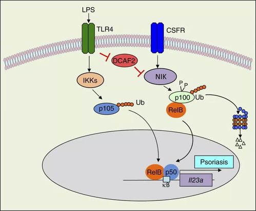 水口开阔：畅通气场循环的关键
