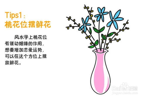 四、 室内布局方位学与禁忌规避策略