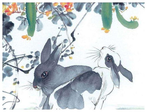 属兔老公和属鸡老婆的婚姻幸福吗？他们的性格和命运相配吗？