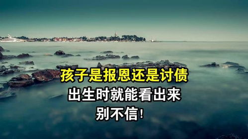 一、  农历六日出生孩童的“报恩”特质解析