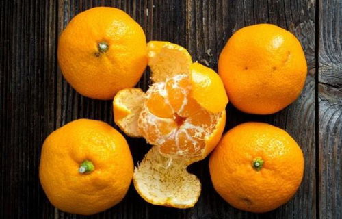 3. 种桔子树的禁忌事项