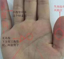 3. 伪“断掌”与混合型结构