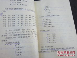 天罡之位与水土元素的权重