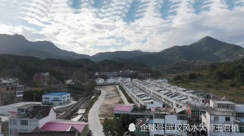 藤县风水名师藤县一索牵九牛留题地点在哪里？