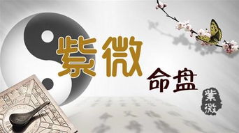 二、 化禄星於兄弟宮之財富有傾向