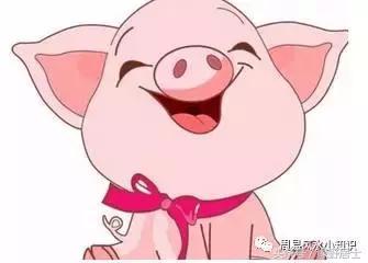 （一）正月（农历一月）诞生之属猪者
