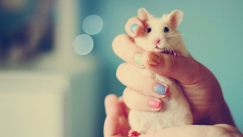 性格成因与影响