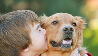 2026年属狗女性会遭遇灾难吗？属狗2026年情劫年份具体指什么？