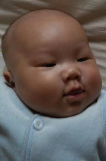 肥头胖耳的生肖是什么？