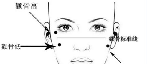 如何准确判断自己的颧骨是高还是低？