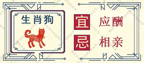 B. 人际互动——避免争吵并适度控制情绪波动