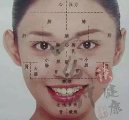 面相看吉凶准确吗？点痦子面相图解预示吉凶如何？