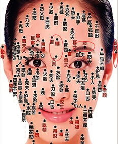 4. 右眉上方痣——事业宫阻碍及职场不和谐