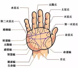 二、 结婚线末端下垂之象征意义